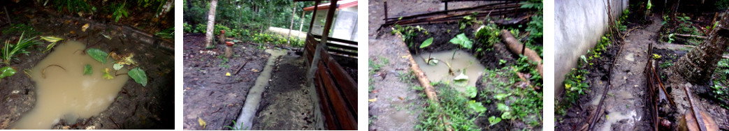 Images of tropical backyard drainage
        system