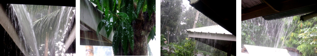 Images of tropical rain