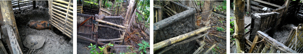 Images of tropical backyard pigpen fence