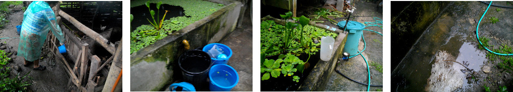 Images of tropical rain