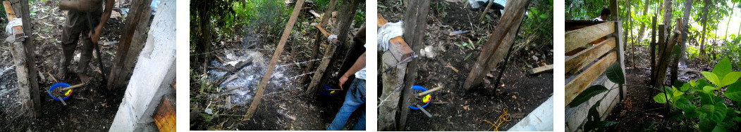 Images of new gate being built in tropical backyard
        border hedge