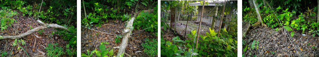 Images of neighbour's electtriciy pole
        fallen into our garden