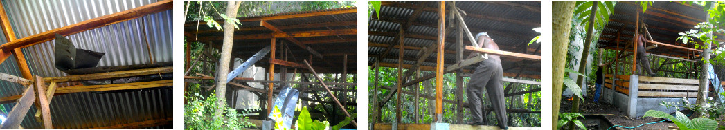 Images of old pig pen roof being demolished from
        underneath new roof