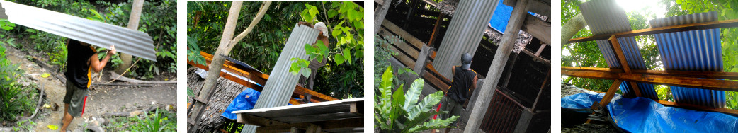 Images of construction of tropical backyard pig pen
        roof