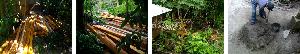 Images of construction of tropical backyard pig pen
        -around existing pen