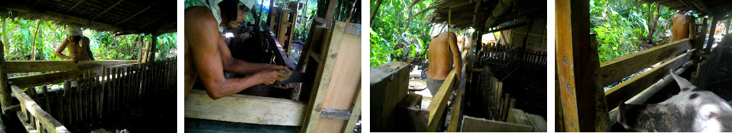 Images of construction of tropical backyard pig pen
        -around existing pen