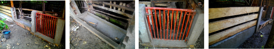 Images of newly constructed concrete pig trough in
        tropical backyard