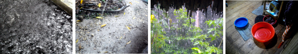 Images of tropical rain