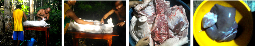 Images of Tropical backyard pig being cut up for
        cooking