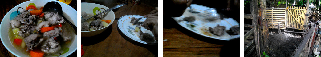 Images of recently slaughtered tropical backyard pig
        being eaten for lunch