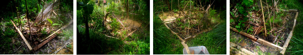 Images of tidied tropical garden patch