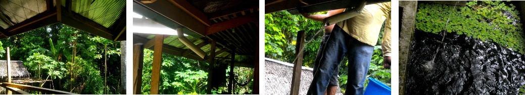 Images of extra gutter on tropical house
        roof