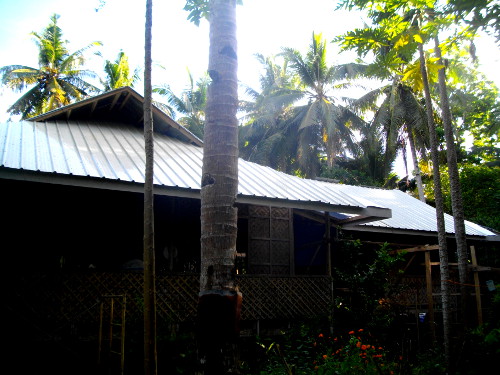 Image of tropical house with new roof
        (in construction)