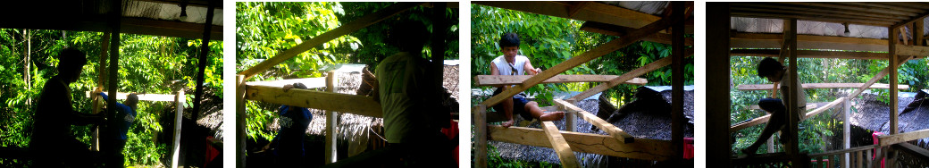 Images of workmenm putting up an extra
        roof over steps in tropical house