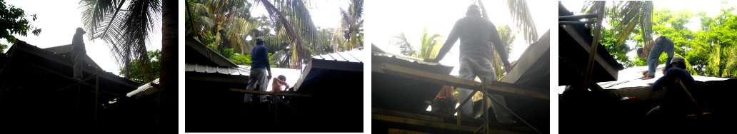 Images of men working on tropical
        house roof
