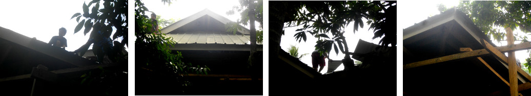 Images of workmen rebuilding tropical house roof