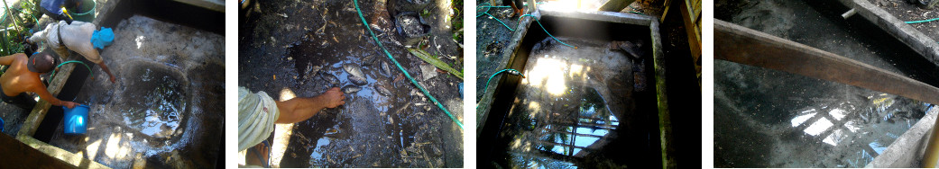 Images od cleaning a tilapia pond