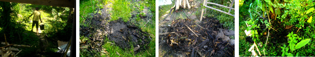 Images of mud from tilipia pond after dumping