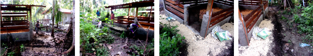 Images of cleaning up site after building new
tropical backyard pig pens