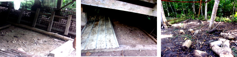 Images of roofing material moved from garden and stored
        under tropical house