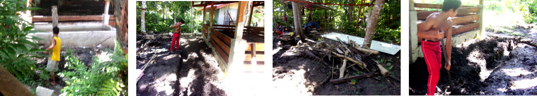 Images of cleaning up around new tropical backyard pig
        pens