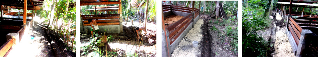 Images of cleaning up around new tropical backyard pig
        pens
