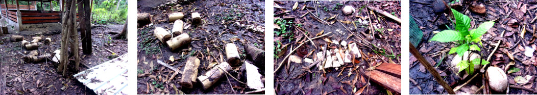Images of garden problems left by
builders