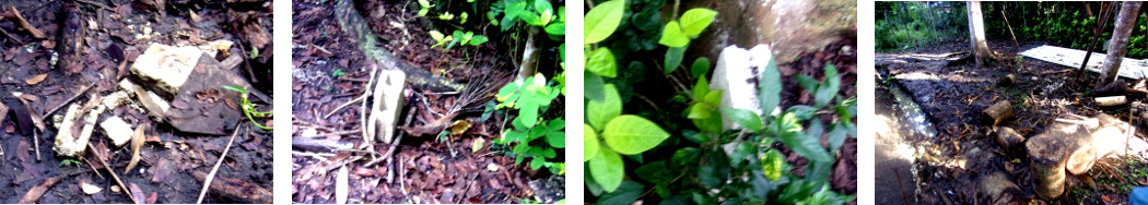 Images of garden problems left by
builders