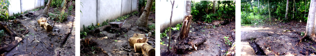 Images of garden problems left by
builders