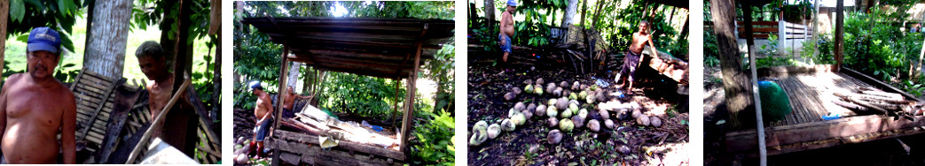 Images of men tidying up lendahan to dry copra