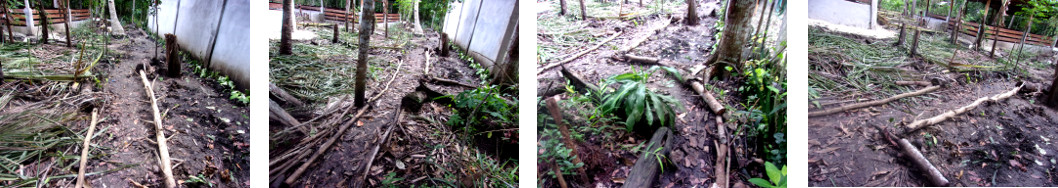 Images of tropical backyard paths laid out with logs