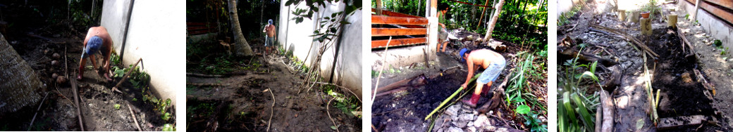 Images of tropical bckyard garden beds and path
            improved by moving builders rubble