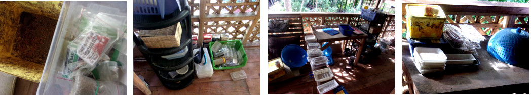 Images of balcony seed table being cleaned up after it
        was attacked by both cats and chickens