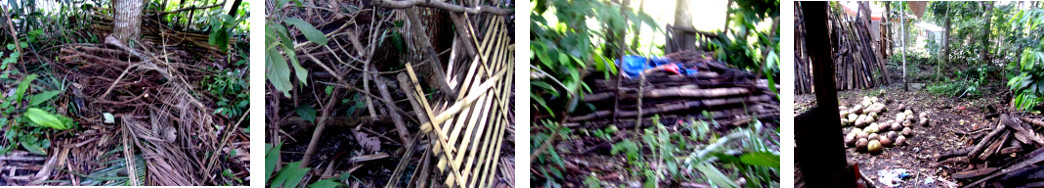 Images of woodpiles left in tropical backyard after
        workers have partly cleared up demolished wooden pig pens