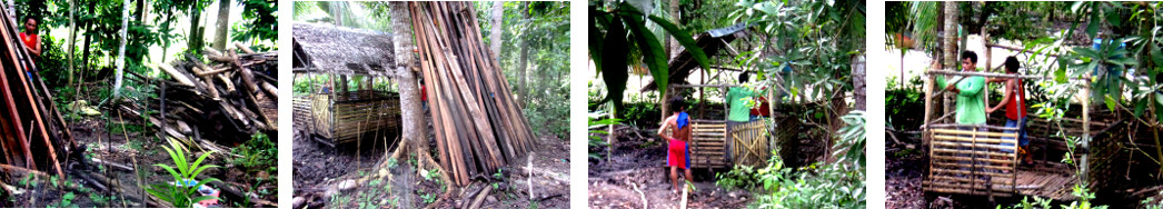 mages of demolition of tropical backyard pig pen