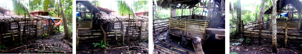 Images of old tropical backyard pig pens before
        demolition