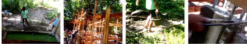 Images of construction of tropical backyard pigpen