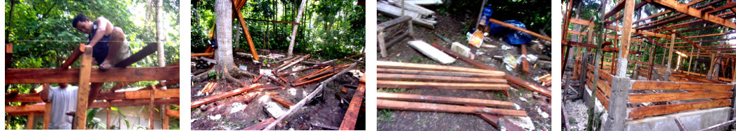 Images of construction of tropical backyard pigpen
