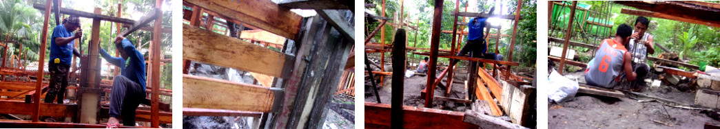 Images of construction of tropical backyard pigpen