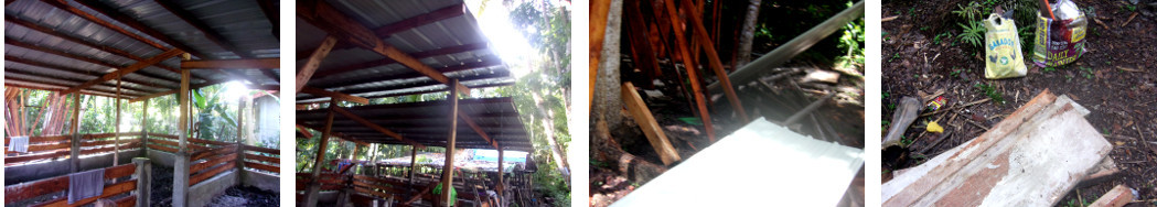 Images of tropical backyard pig pen under construction