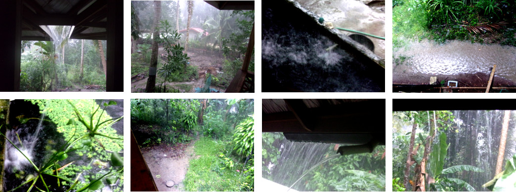 Images of tropical rain