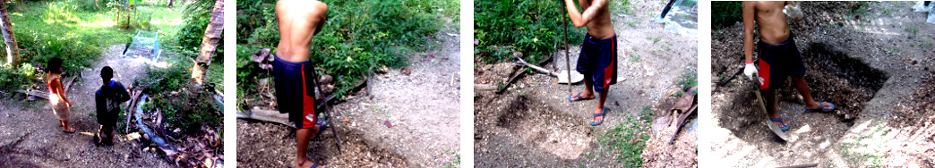 Images of man digging a compost pit in
        a tropical backyard