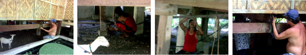 Images of men fixing a leak under a
        tropical wooden house