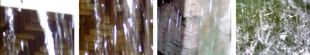 Images of rain intropical backyard