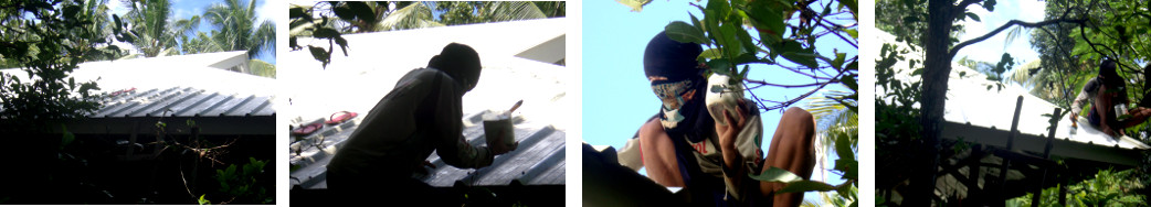 Images of man painting a tropical
        house roof