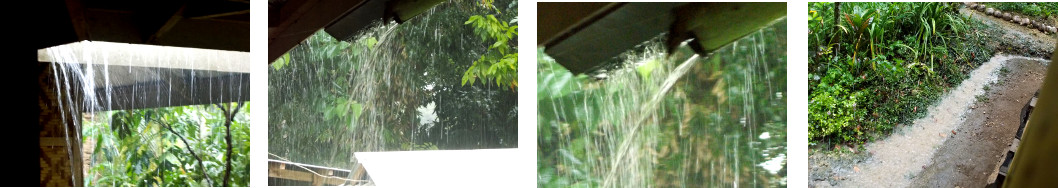 Images of rain in tropical backyard