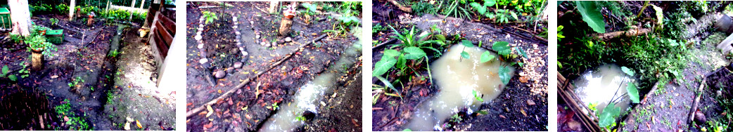 Images of tropical backyard drainage
        after rain