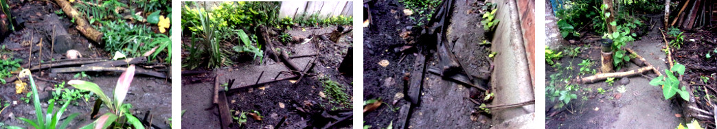 Images of damage to Path Borders in
        Tropical backyard after Heavy Rain