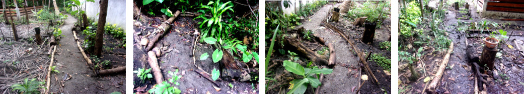 Images of tropical backyard paths
        restored after flooding