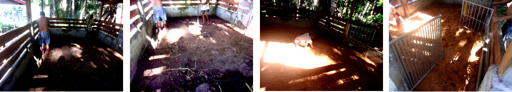 Images of tropical backyard pig pen
        being cleaned up
